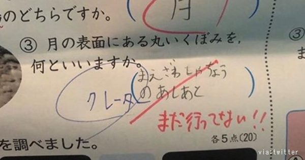 先生と生徒 赤ペンのコメントが 笑 ８選 これ見た